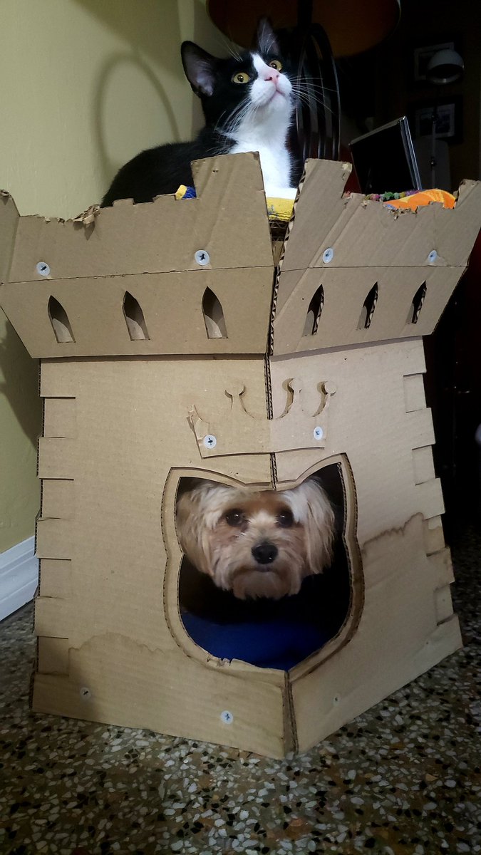 Art Dahm tweet media