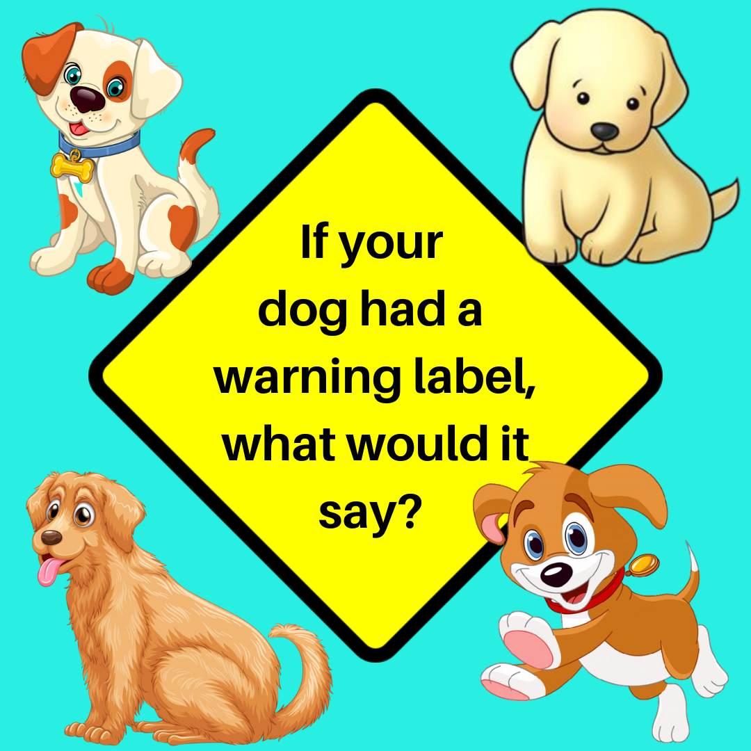 woofwelldogs's tweet photo. If your dog had a warning label, what would it say? 
☺️🐶
#dogsoftwitter #doggygames #dogs #warninglabels https://t.co/C8sjy8NPkn