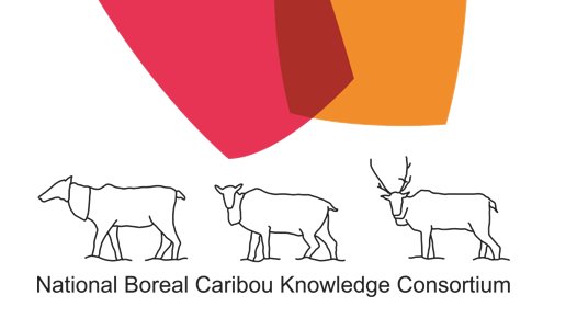 LandSciTech's tweet photo. Announcement: In honour of their third year, the National Boreal Caribou Knowledge Consortium #NBCKC has started their very own twitter account! Follow them @NBCKC_CNSCB to stay up-to-date on the latest #BorealCaribou, #Conservation and #KnowledgeSharing! https://t.co/u7mjpcf4nQ