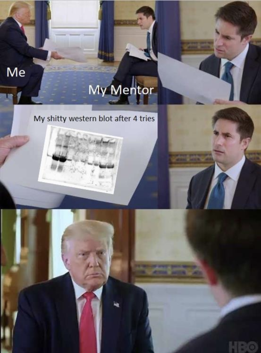 PingMu_PhD's tweet photo. My student sent me this, made my day. But still not an excuse for your shitty western blot! LOL https://t.co/TikT9Exnt1