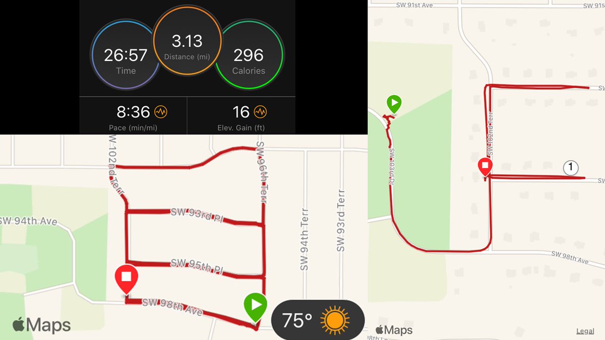 Tracy Scheffler tweet media