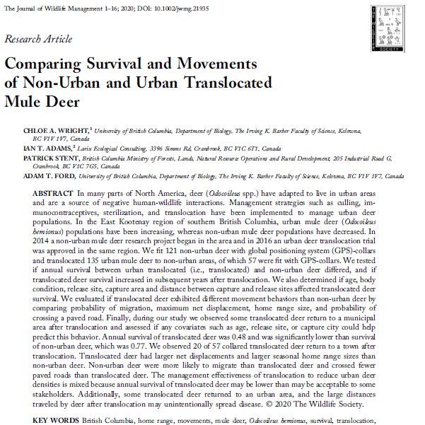 What happens to those urban deer after they are translocated to a more 'wild' area?New paper published in  @wildlifesociety, led by  #WiRELab  @fos_ubco PhD Student Chloe Wright shows us the answer:  http://dx.doi.org/10.1002/jwmg.21935/1