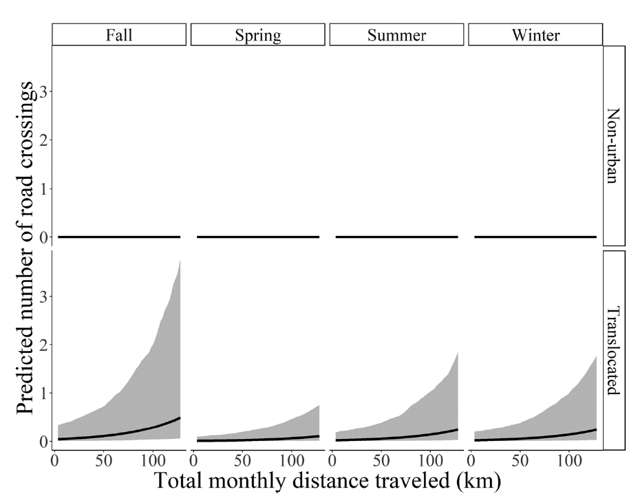 Fourth, translocated deer were more likely to cross roads - meaning that their risk to people doesnt go away just because the deer are moved elsewhere./5
