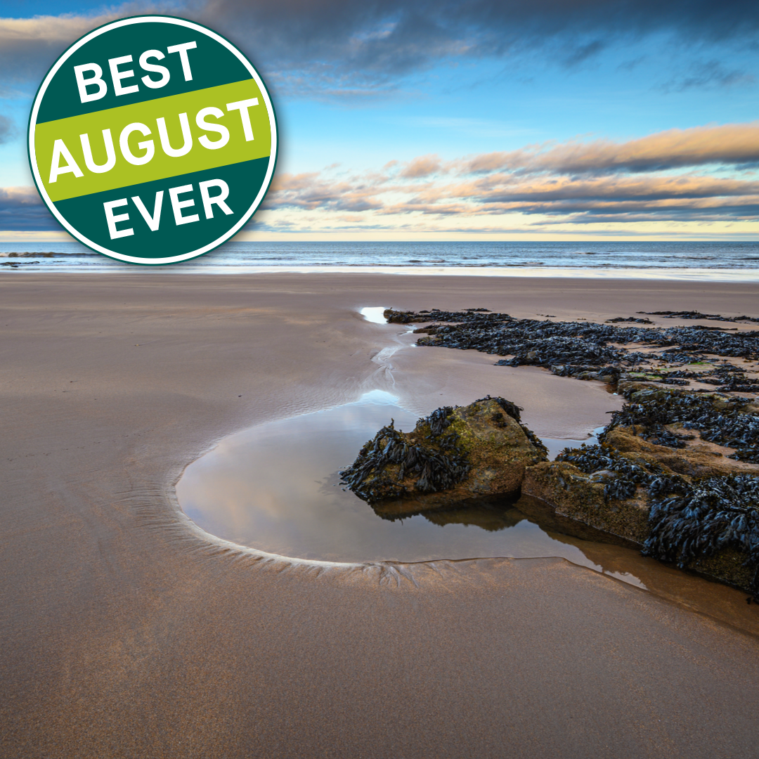 MaguiresCountry's tweet photo. If you’re planning your Maguires getaway we’d recommend…
⛳️ A round of golf at @RockliffeHall
🏖 A paddle at Cocklawburn Beach
🥾 A walk up the Cheviot Hills
What do you love to do around your park?
#BestAugustEver https://t.co/9hWESRfh56