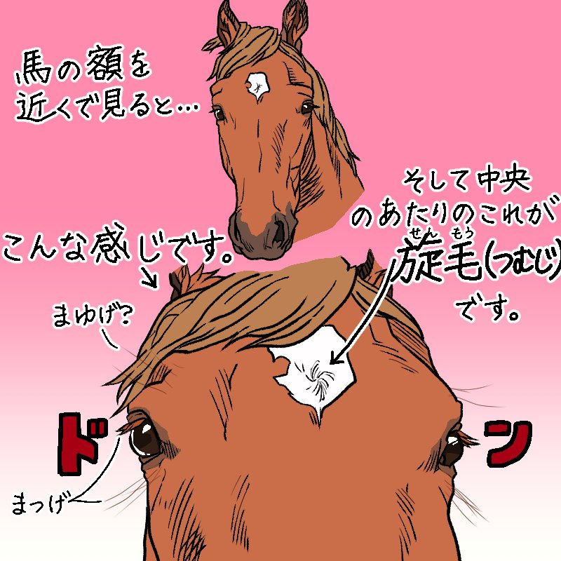 今回は馬の旋毛(つむじ)のお話です。3枚目は位置が少しずれたりしているかもしれないので、大体この辺かな～という風に見ていただけるとありがたいです😅💦
浪門が少し見づらくて申し訳ないです💦胸前の中心線の約3センチ幅にあるものが浪門です。
#馬 #イラスト 