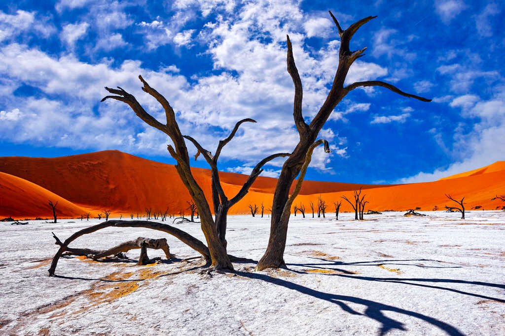 angowindhoekto1's tweet photo. Deadvlei is a white clay pan located near the more famous salt pan of Sossusvlei,inside the Namib-Naukluft Park in Namibia. Also written DeadVlei or Dead Vlei
#namibia #deadvlei🌵 #sossusvlei #naukluftnationalpark #beautiful #desert #visit #lightroom #canon #photo #history #vsco https://t.co/Lwjmz3r840