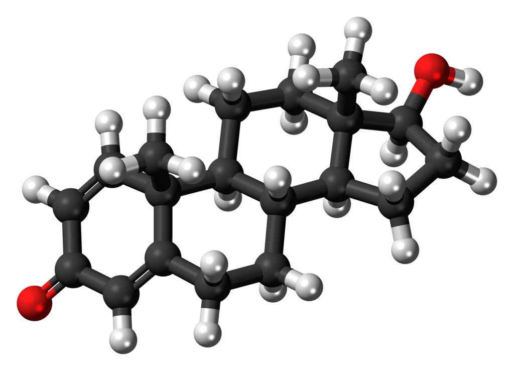bigupshop2's tweet photo. What is Boldenone – Equipoise? | What is Boldenone?
Many girls and boys today are engaged in fitness. The nutritional supplement industry is developing effective formulations to enhance the body's defences, burn fat, and build muscle. https://t.co/VNkuXm1GK9 https://t.co/P9p9D8WALr