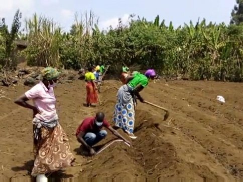 sansfotografie's tweet photo. Today fourth #skypemeeting at #cooperative #Koibu, seed potatoes of the variety Kirundu #RAB planted on the #demoplot, field looks beautiful thanks to the members of Koibu, @MUGISHADesire8 @Agriterra @Agripool_advice @CrynsPaul https://t.co/aIRttLch5X