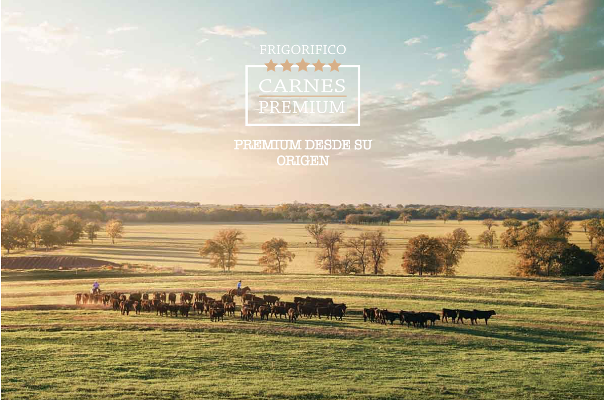 PremiumCarnes's tweet photo. Porque somos Premium desde su origen.

*Sin antibióticos.

*Libre acceso a pradera.

* Nunca hormonas de crecimiento. https://t.co/h6lFG4r8Xj