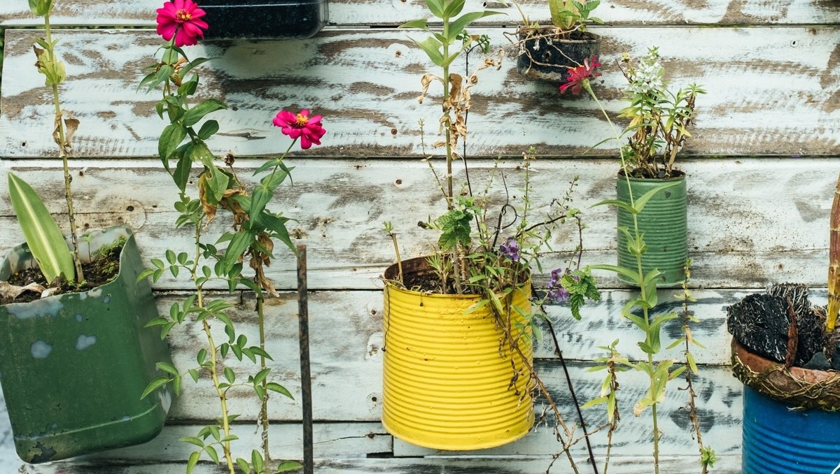 DrizzleOrg's tweet image. The Youth Environmental Challenge has kicked off! Show off your creativity by completing eco-friendly actions that contribute to a greener future and share them with #DrizzleYEC