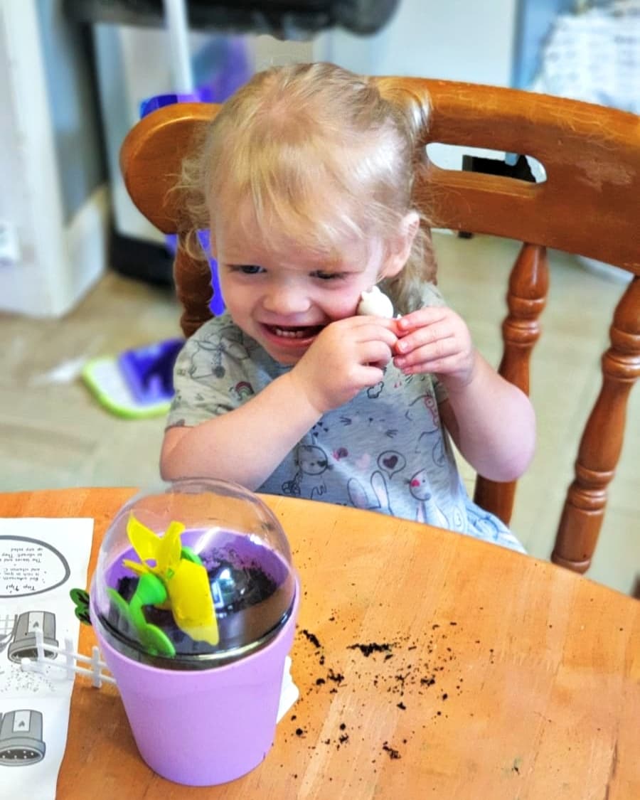 Notjustfordads's tweet photo. Check out these super cute Peppa Pig Planters. Interactive as house with figures and accessories from @PeppaGrowNPlay

Available now in @SmythsToysUK rrp £9.99

@wirepr @InterplayUKltd #Ad #gifted #pr #peppapig #growwithpeppapig #peppaplayandgrow https://t.co/aGm4gzFmWB