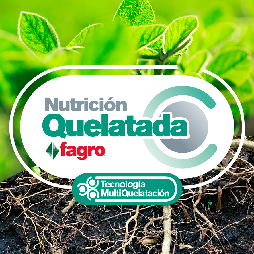 FagroMx's tweet photo. Grupo Fagro te recomienda la Nutrición/Fertilización foliar una excelente opción en la que los nutrientes se aplican vía aspersión directamente en las hojas y de ahí se distribuyen al resto de la planta evitando deficiencias.
Más info en #elBlogdeFagro https://t.co/F3AbXaMs9M https://t.co/DGzklkEryf