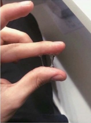 sfdsquarentena's tweet photo. Fui passar álcool em gel e lembrei dela https://t.co/ESybB8XHCq