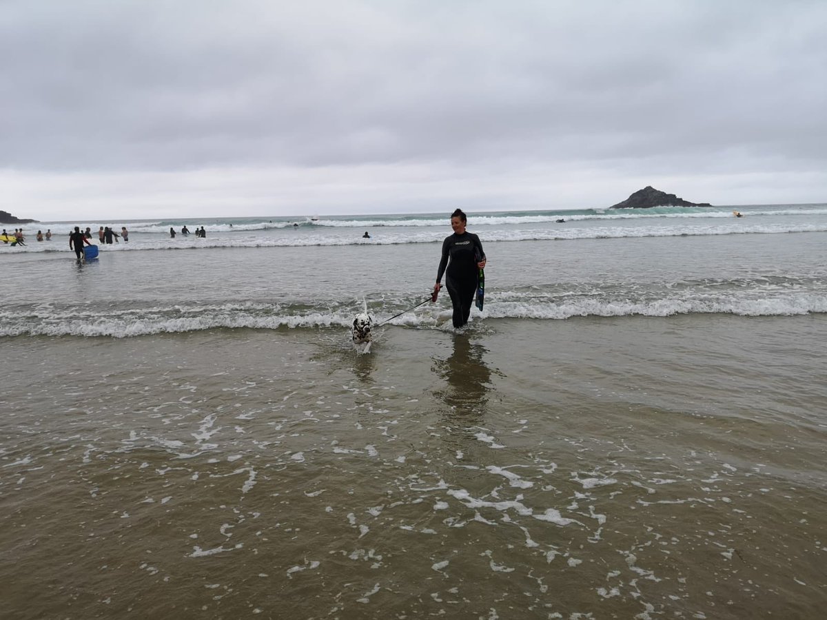 CR08KES's tweet photo. Another cracking day in Cornwall. Dolly-the-Dalmatian and @T21CJC coming in after a bit of body boarding #thingstodoincornwall #summerholiday2020 #Staycation2020 https://t.co/vLpo7HgLeD