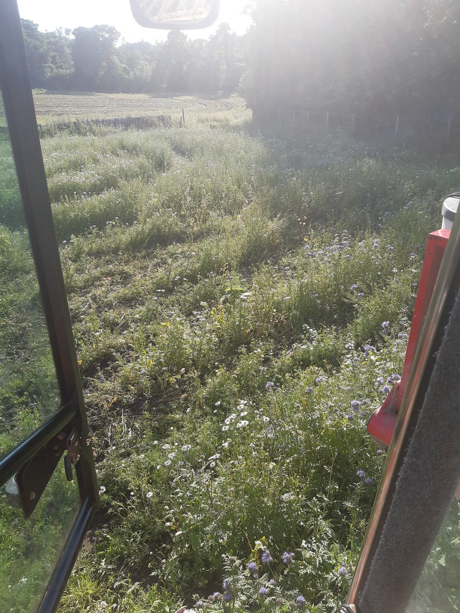 AlanMstev66's tweet photo. #Farm24 #Beemixture in corners and headlands https://t.co/A1ZcXd1GLa