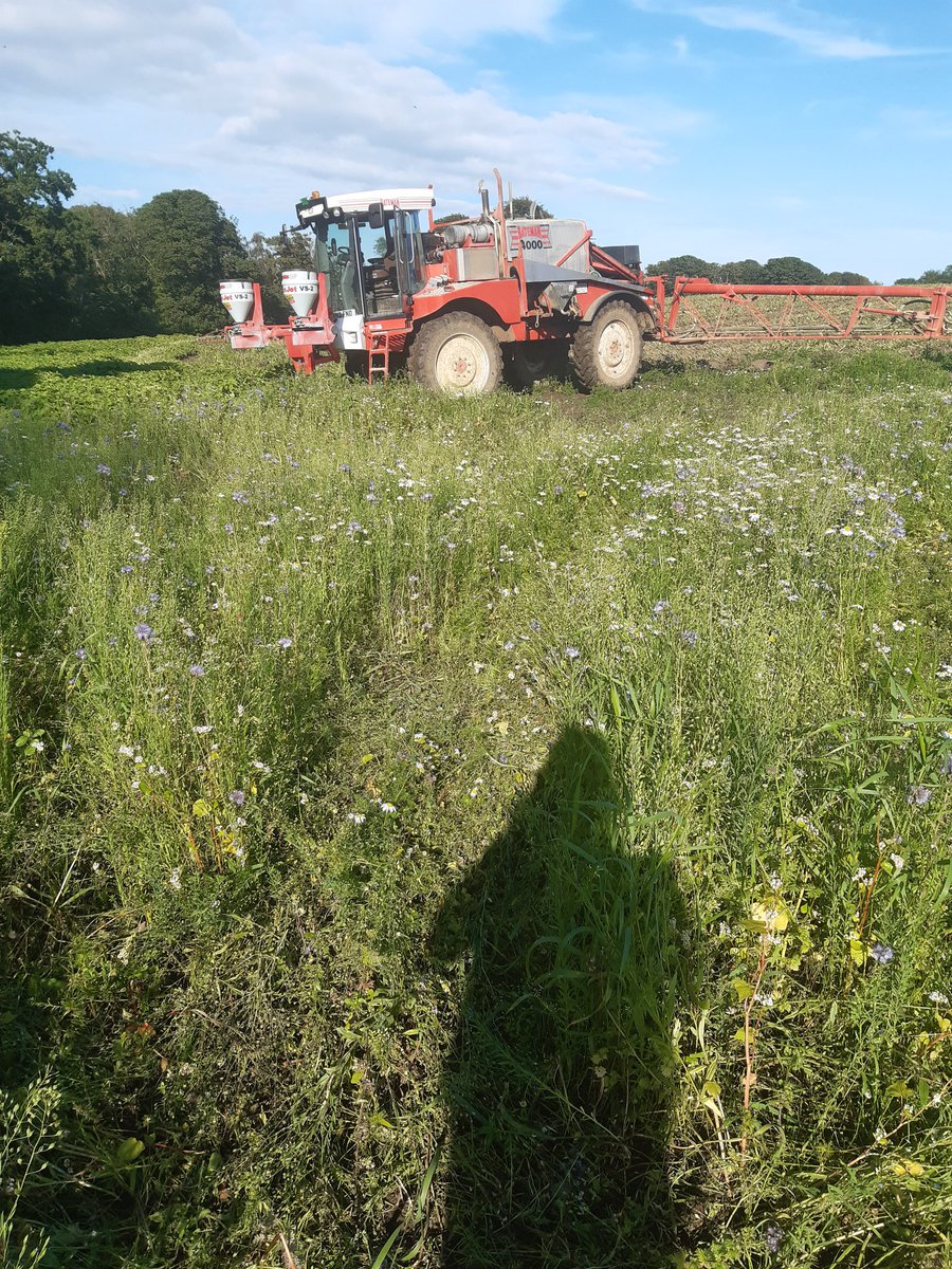 AlanMstev66's tweet photo. #Farm24 #Beemixture in corners and headlands https://t.co/A1ZcXd1GLa