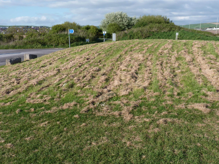 ... we just need councils to take away the grass clippings. Year 1 & 2: mow 4-6 times like they do today but *remove* the clippings = nutrients GONE! Year 3 onwards: mow March & Sept; you won't need to mow more than that, no nutrients onsite = short grass. Images:  @PhilSterling3
