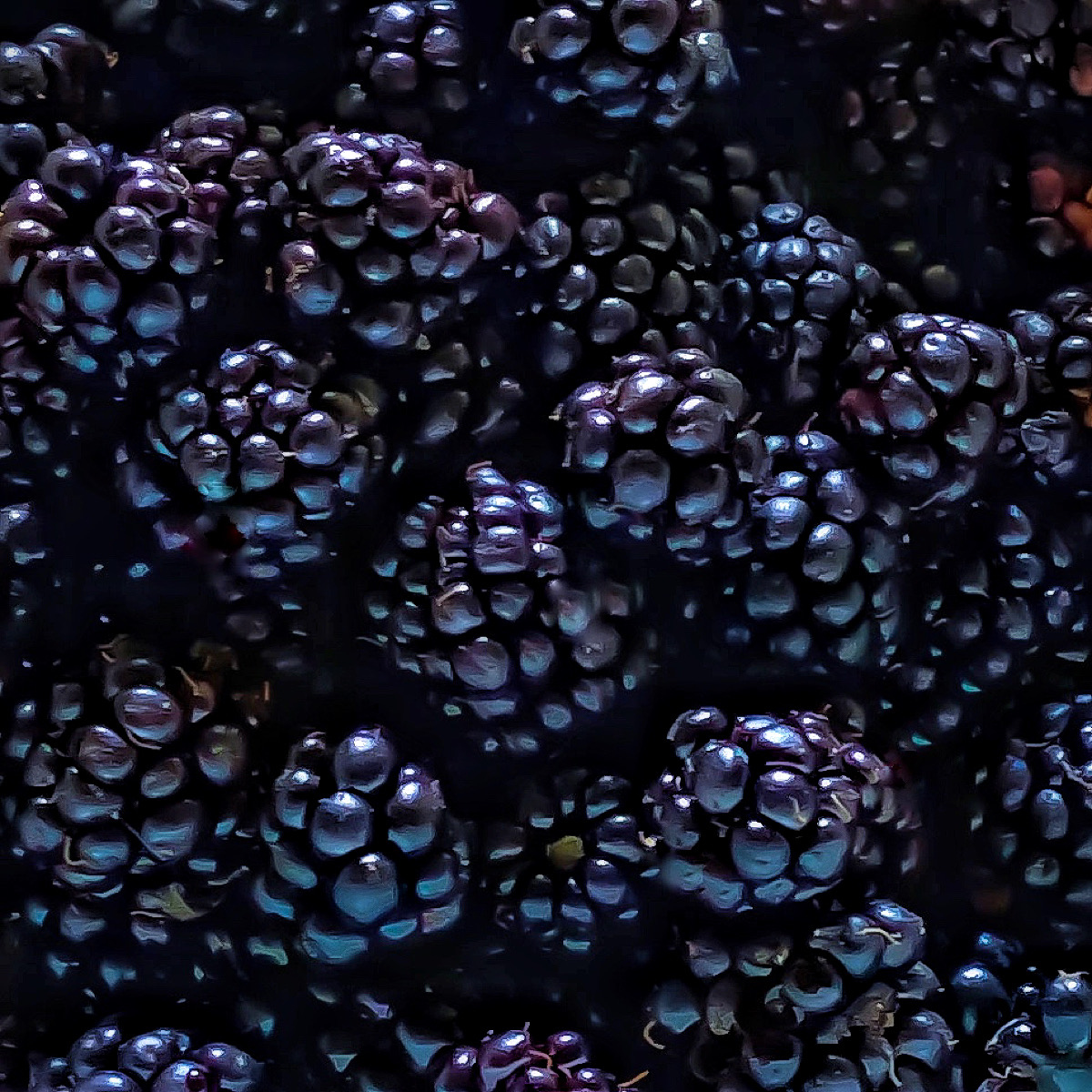 Foodim's tweet photo. "Promising" by bee... https://t.co/WVqBURFepW