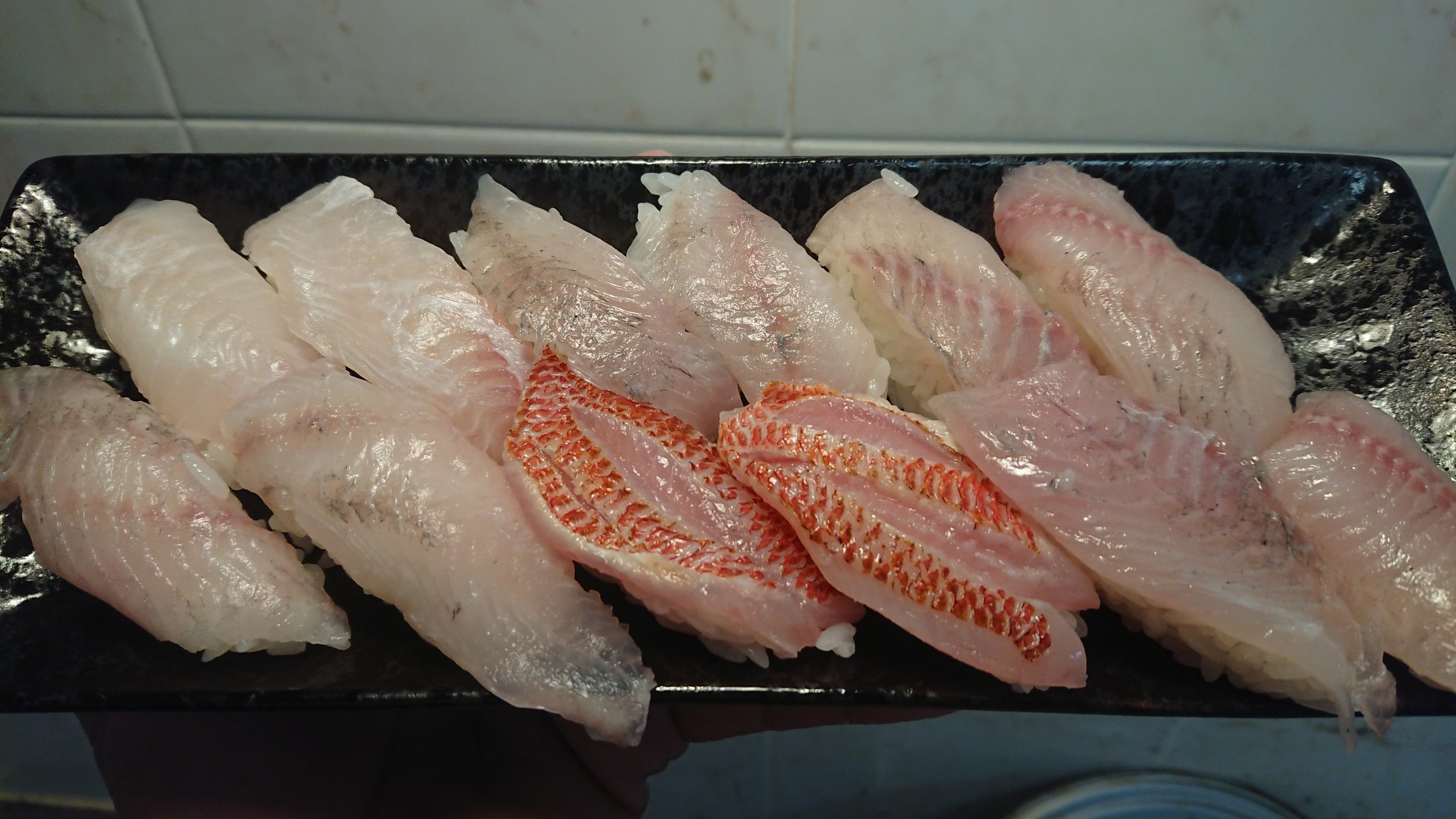 かずにゃん 8 4と8 6の釣果 オヤビッチャとハタタテダイとアカマツカサはお寿司 オヤビッチャは刺身にも ササムロ グルクマ シモフリアイゴ セイタカヒイラギはまた明日 オヤビッチャ脂乗ってて最高 T Co Tjt4hrthhj Twitter