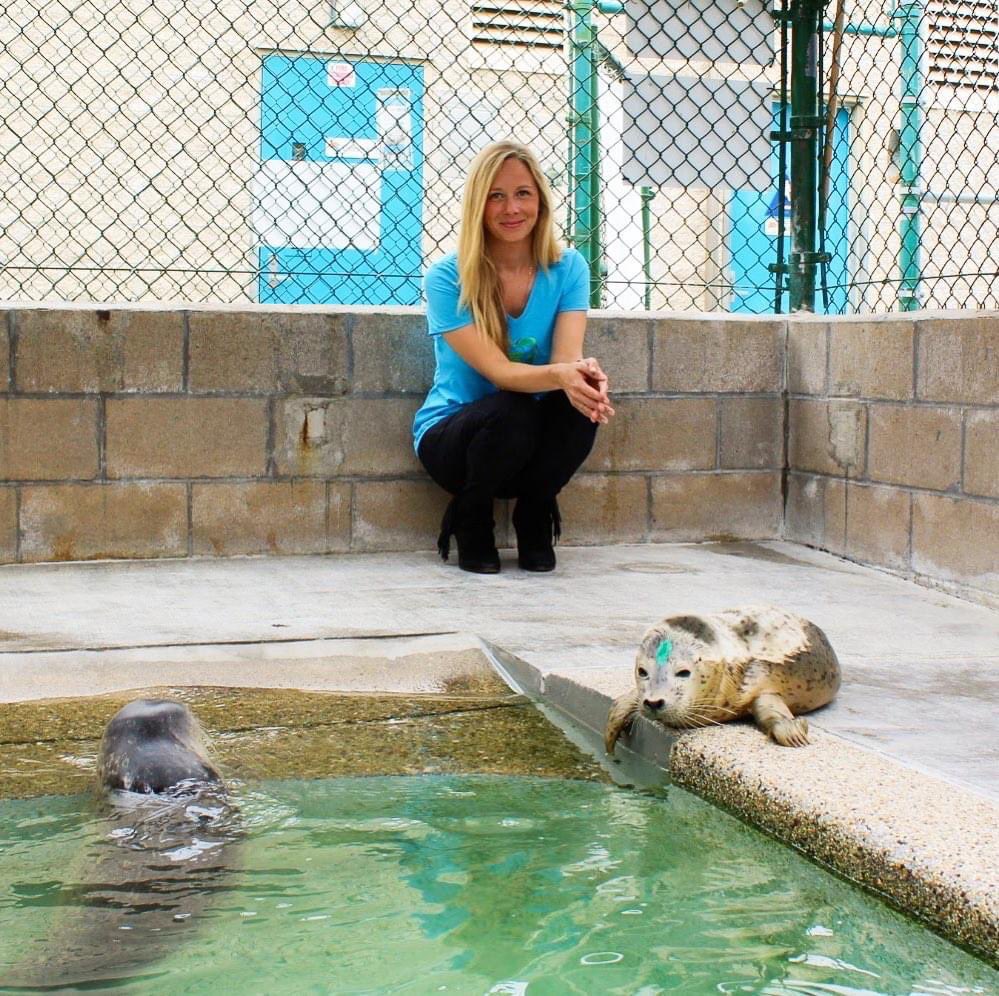 MMCCLA's tweet image. ⏰ Join us on IG live at 12:30 today with our President, Amber, and a 🌟 SURPRISE SPECIAL GUEST🌟 for an update on these 2 cuties! 💙🧡 You don’t want to miss it! 🤩 #mmccla #helpushelpthem #savetheseals