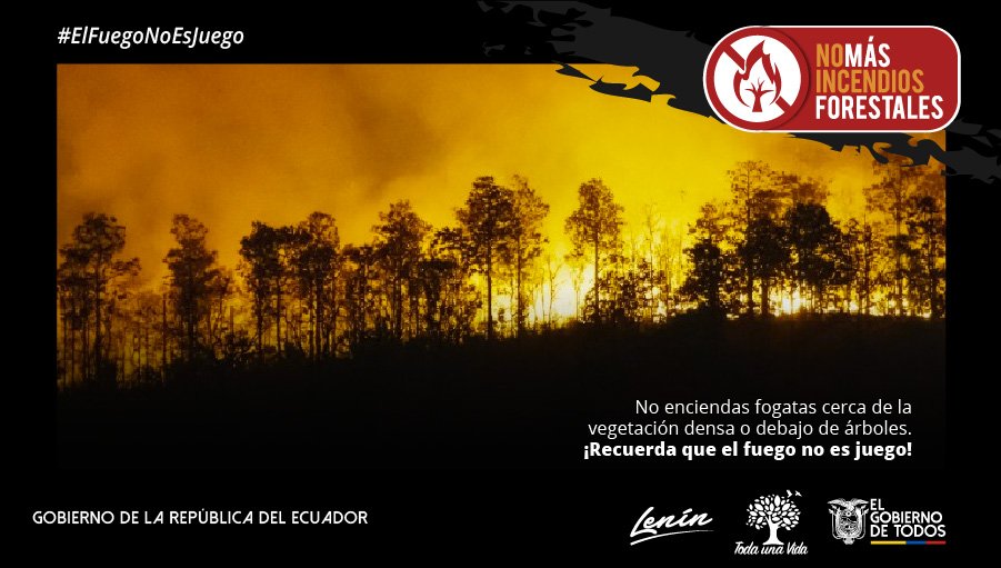 EducacionZ4_Ec's tweet photo. #ElFuegoNoEsJuego | Los incendios forestales en áreas protegidas, bosques y vegetación protectora, y zonas de conservación ocasionan daños y perjuicios sociales, económicos y ecológicos. #JuntosEcuador https://t.co/PmpgRVCgJy