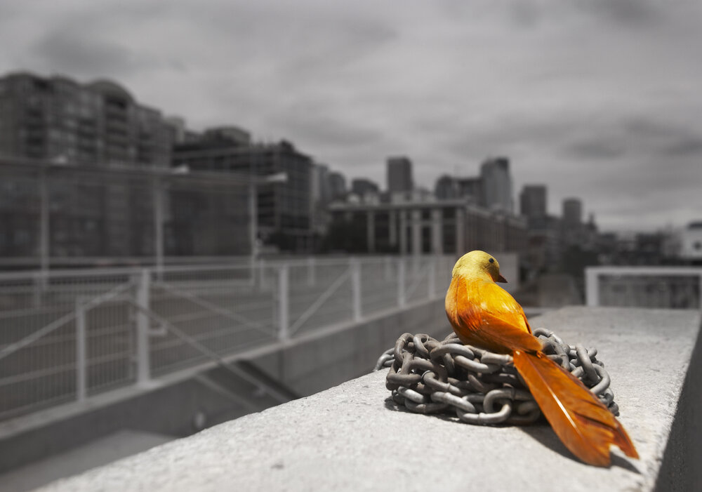 How can your company thrive during crisis -- not just survive? The answer is #resilience - building your ability to adapt to unforseen disruption. Gülsün Altintas <a href="/UphfOfficiel/">Université Polytechnique Hauts-de-France</a> @idp_uvhc <a href="/CirkaDistillery/">CIRKA Distilleries</a> <a href="/groupe_lemoine/">Groupe Lemoine</a>

nbs.net/articles/build…