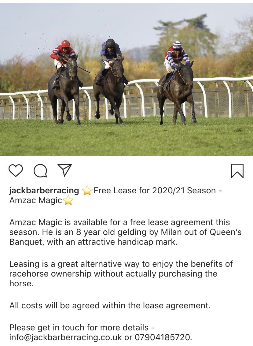 ⭐️Free Lease for 2020/21 Season - Amzac Magic⭐️

Amzac Magic is available for a free lease agreement this season.