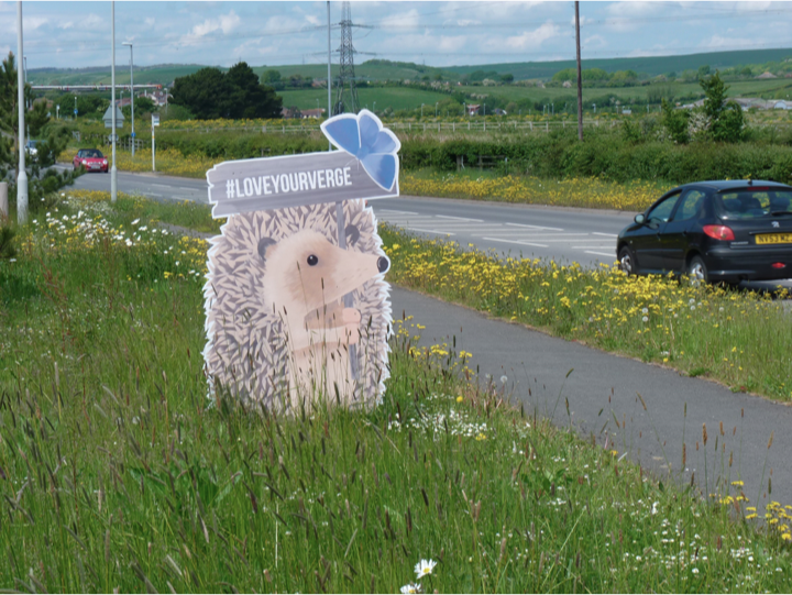 Short grass & low nutrients = wildflowers thrive. Sure, scatter some wildflower seed if you like; get that nectar flowing! Maybe chuck in a bit of yellow rattle which steals nutrients from grasses and keeps them short. By year 3 you are down to just two mows ...  @gillians_voice