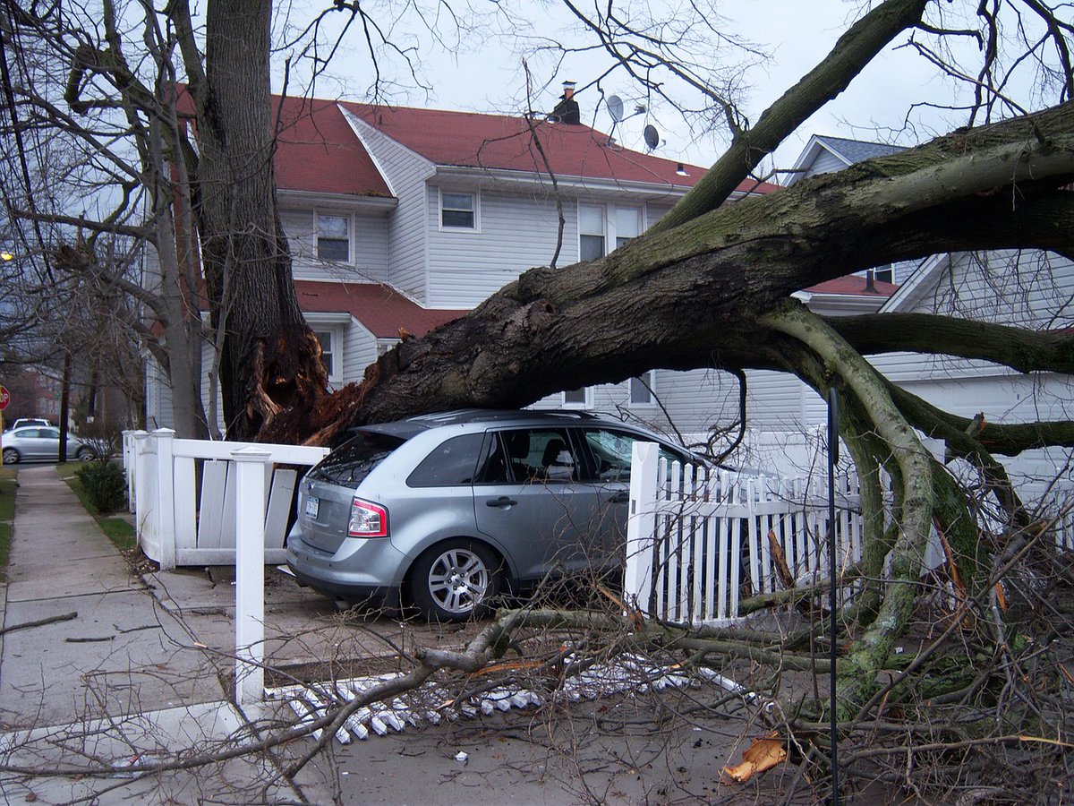 KenReidIns's tweet photo. With the high winds in #SoCal, we recommend that you double check your insurance limits and deductibles. Call us and we can guide you on what best fits your needs.
.
.
.
#KenReidInsurance #WeAreFarmers #FarmersInsurance #SoCal #CostaMesa #autoinsurance #insurance #homeb https://t.co/BKBc4TzJY6