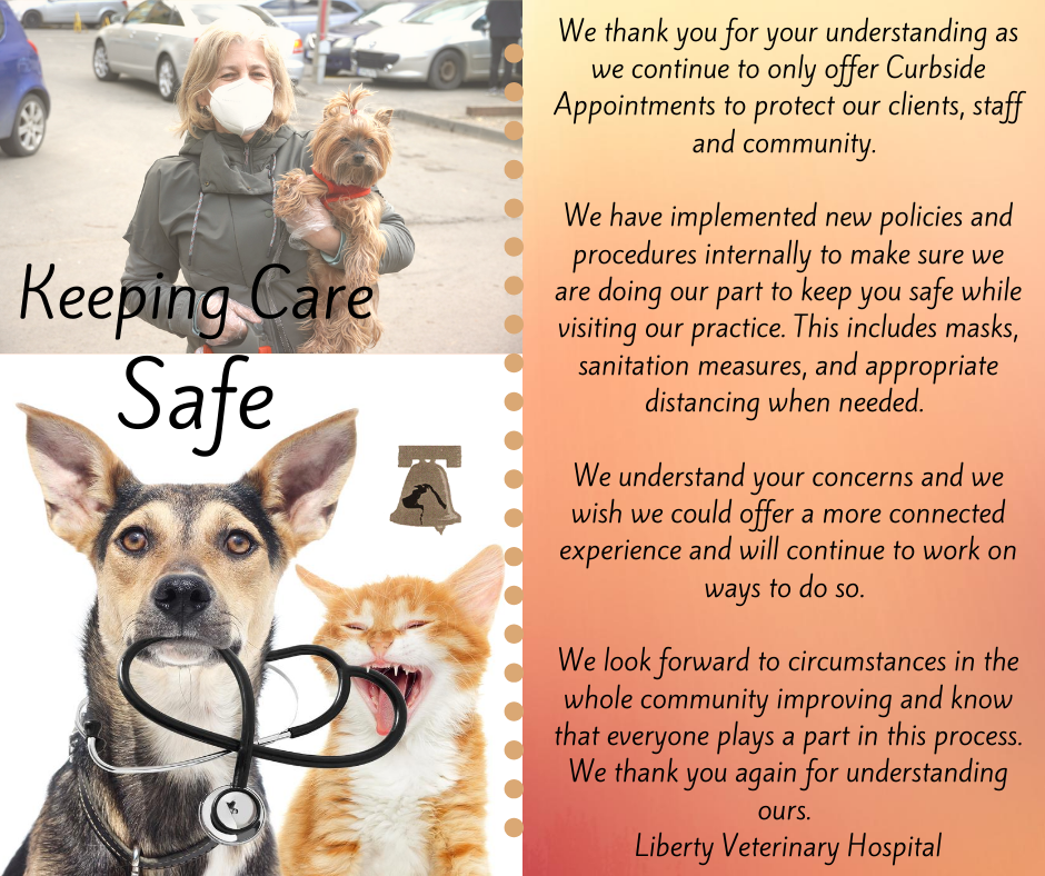 Liberty Vet Hospital (@libertyvet) on Twitter photo 