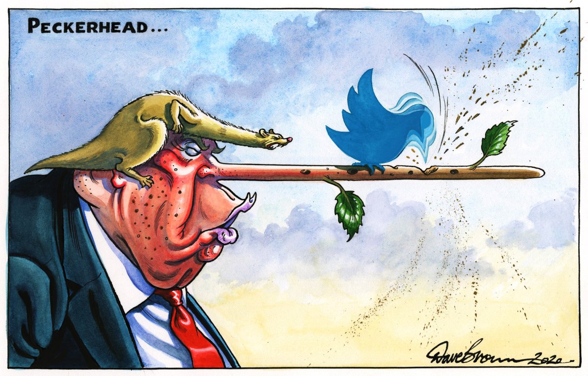 Dave Brown On Twitter Tomorrow S Independent Cartoon Trump Twitter Facebook Trumptwitter Twitterbanstrump Covid19