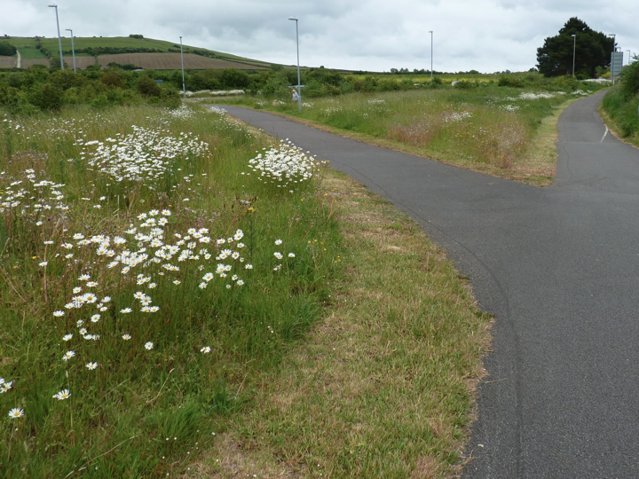 Does the maths work? Here's an example: North Dorset County Council reduced their mowing bill by 11k a year. Although a cut & collect mower costs £35.5k, they were spending £36k on mowing annually. Now, every 3.5 years they could buy a new cut and collect mower.