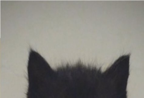 kagstinycrown's tweet photo. did it work ? https://t.co/dYtODhnROE