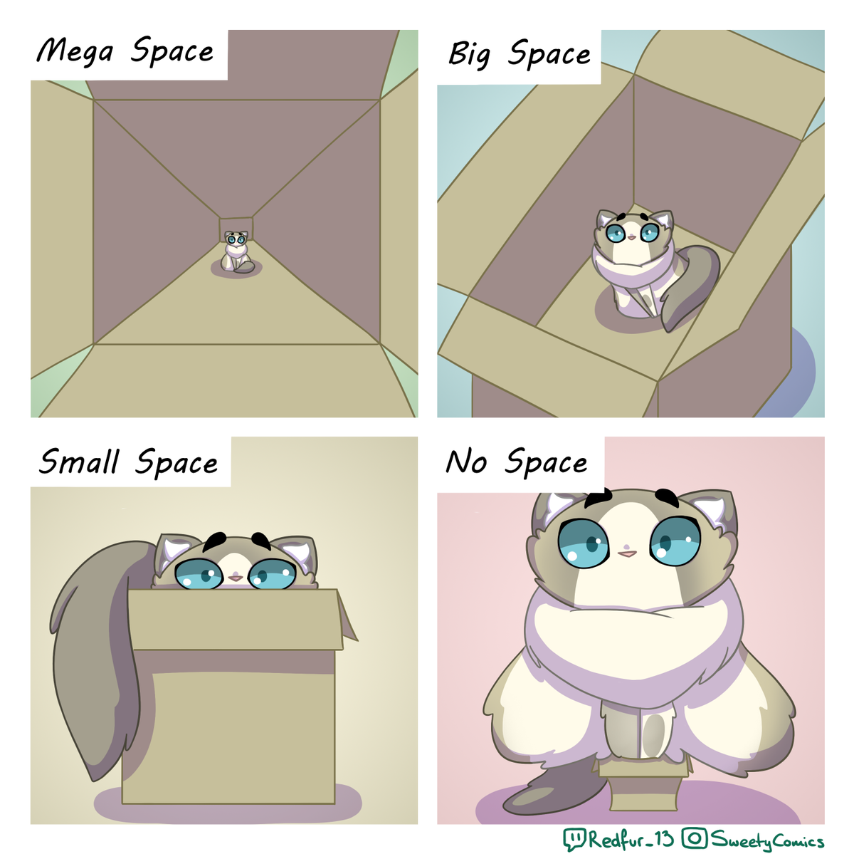 redfur13's tweet photo. SPACE SCALE. If it fits, she sits. Even if it doesn't fit. https://t.co/oY2GTqeej8