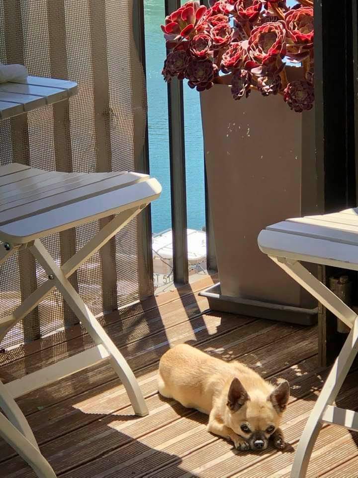 Lili adore le soleil ☀️❤
MF💋