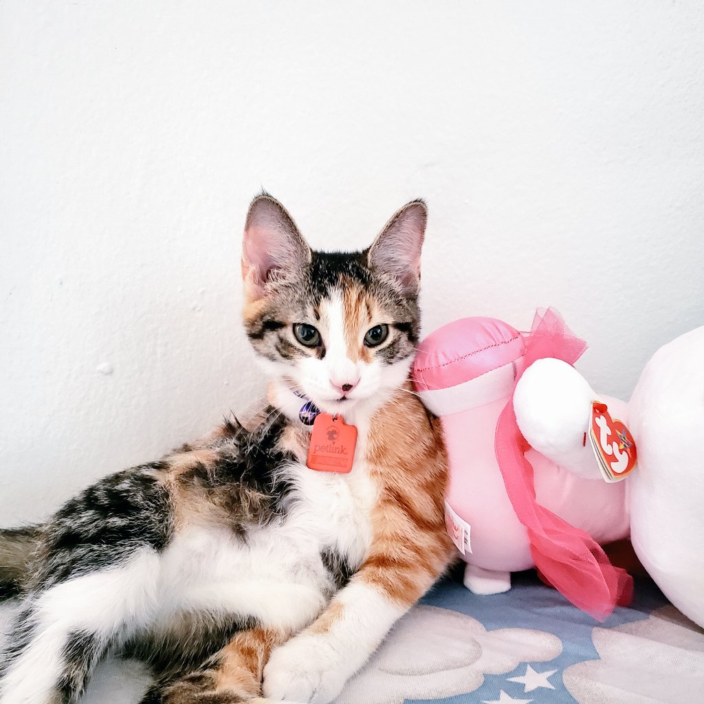 cry_stalsoda's tweet photo. Hi Dax! 🥺 https://t.co/ubfiw90swv