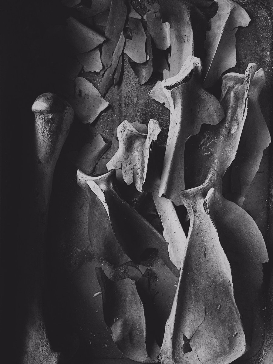 Bone black ... 10% Carbon, 84% Calcium phosphate, 6% Calcium carbonate. Made from raccoon shoulder blades and turkey bones this time around #naturecolors #colorstories #newmaterialsm #environmentalart #vibrantmatter #nonhumanagents #art #naturalpigment #artandscience