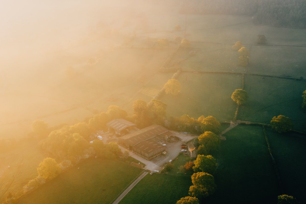 DanielCasson1's tweet photo. Mornings on the farm // https://t.co/6DQAg9BcNl