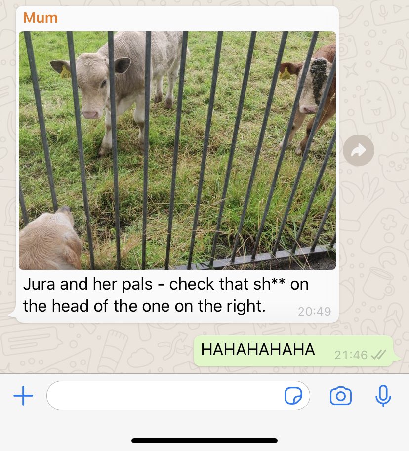 heatherjunex's tweet photo. Absolute classic from my mum 😂 https://t.co/QNqHVALl8Y