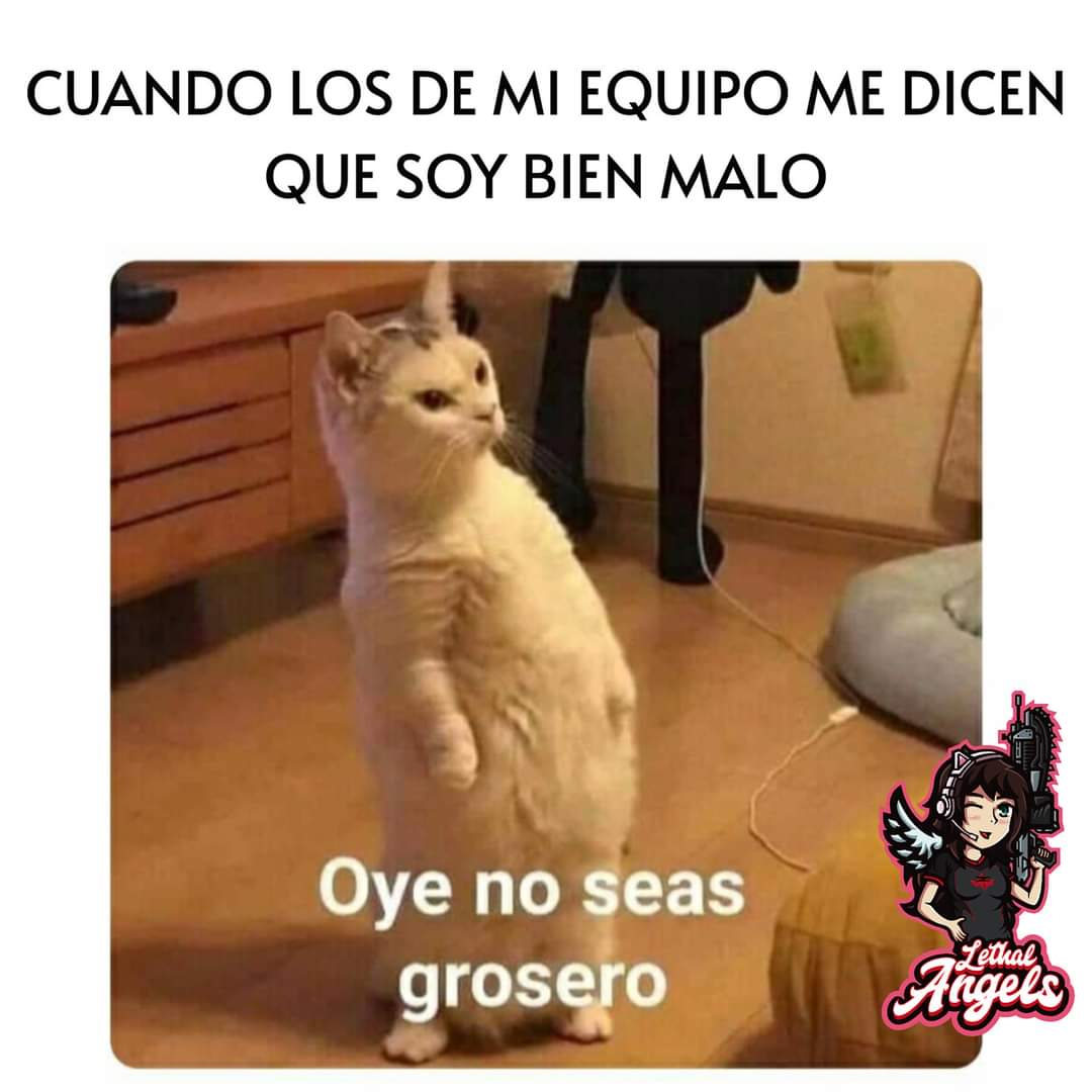 LethalAngelss's tweet photo. No me hagas enojar 🥺😠 jajaja https://t.co/NsLdJWL8Lf