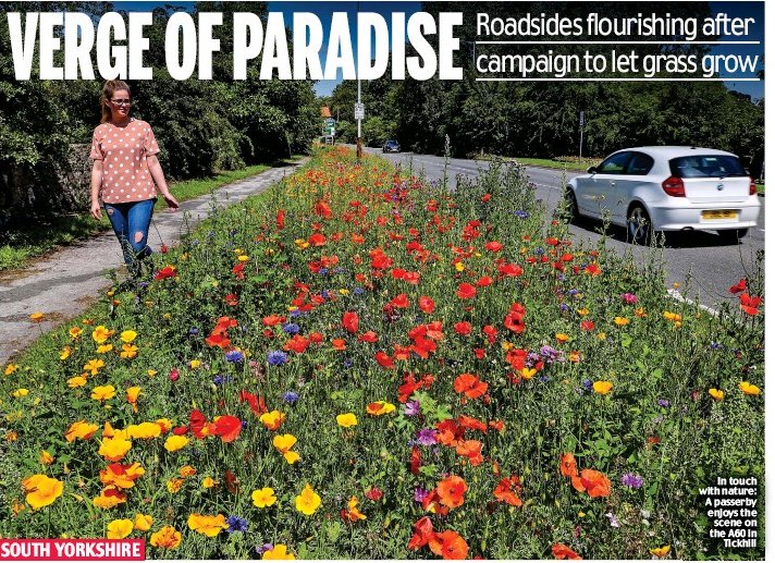 Next up - we need new verge management. Councils & highways presuppose managing for butterflies and pollinating insects will be expensive. But the reverse is true ... why? because wildflowers like it TOUGH... truth be told we don't need "paradise verges" ...