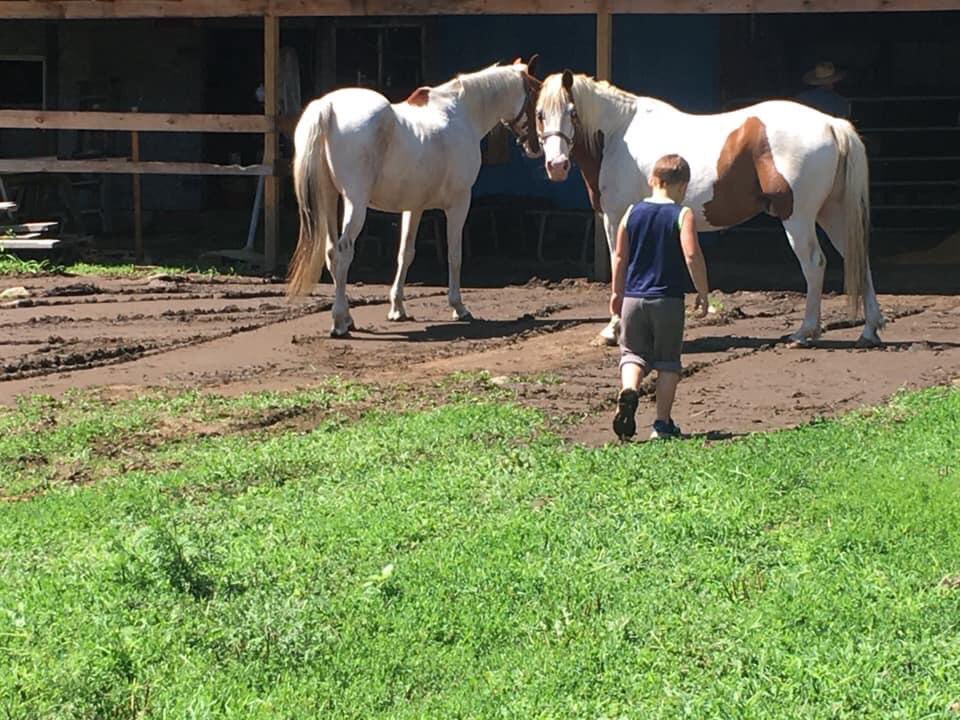 alitbitofheaven's tweet photo. Spending the morning visiting old friends!!! https://t.co/JrYWnsAIgm