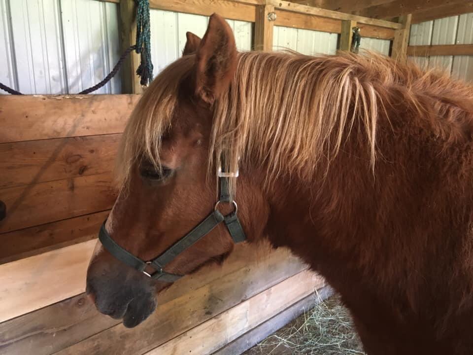 alitbitofheaven's tweet photo. Spending the morning visiting old friends!!! https://t.co/JrYWnsAIgm