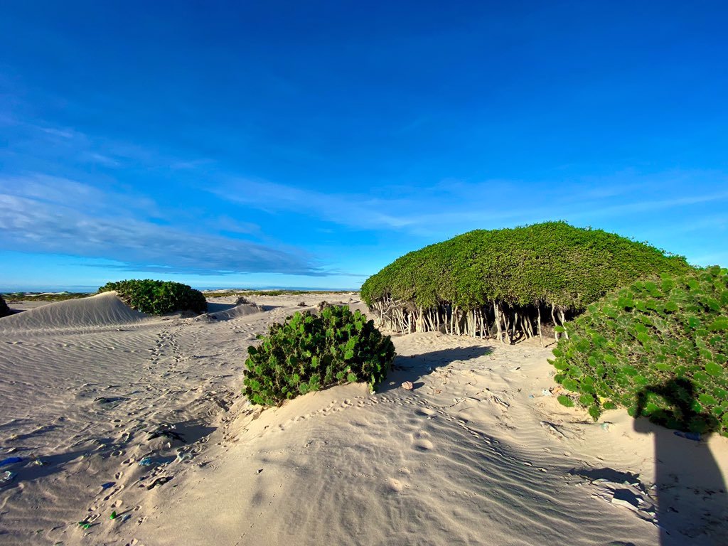 LoveSomalia1's tweet photo. Gara'ad Town In Mudug Region. Somalia, What  A Beautiful Beach.

Breathtaking Pictures. https://t.co/z5SFaPSB8k