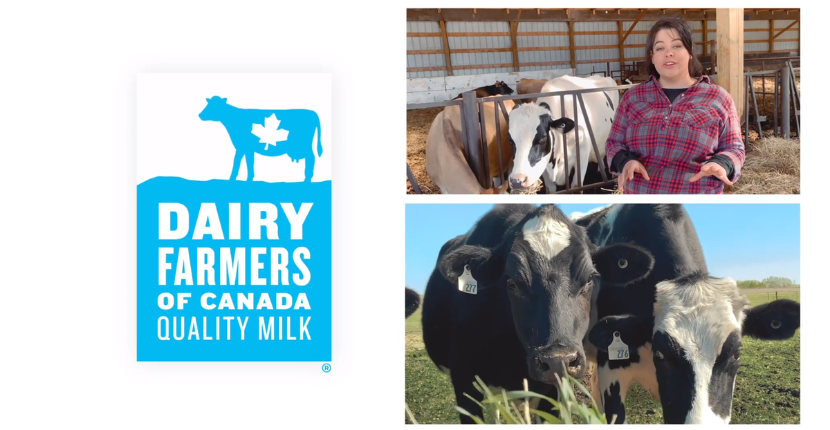 The best and easiest way to #BuyCanadian dairy products is to look for our iconic Blue Cow Logo!
Show your support to our #CdnDairy farmers! Share a picture with us of your latest Blue Cow purchase! #CdnAg