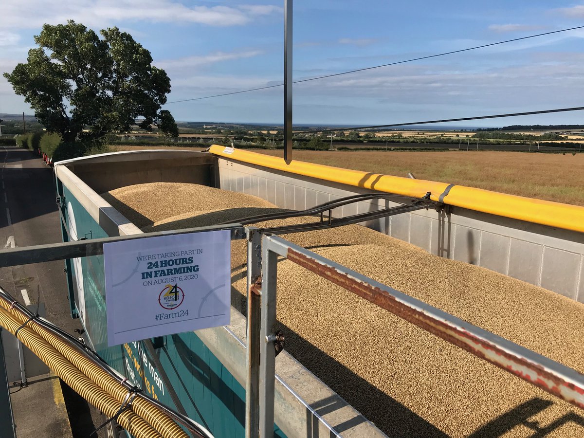 FrontierAg's tweet photo. Grain being delivered to our store in Lowick this afternoon. #Farm24 #Harvest20 #Harvest2020 #UKHarvest https://t.co/2LKU6JrzfV