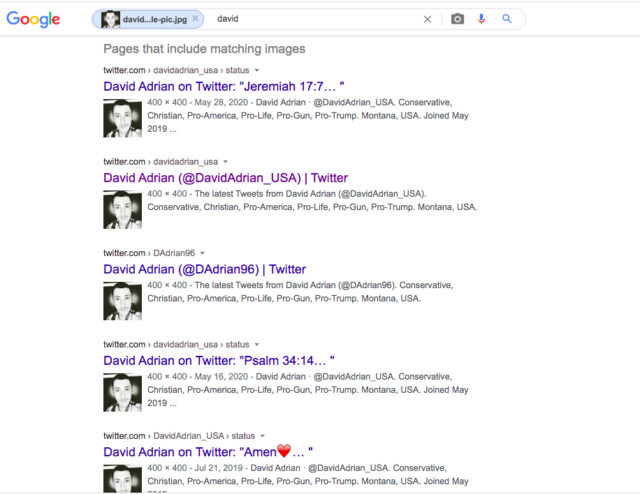 Doing a reverse image search of David Adrian's profile pic, I was able to find his newest Twitter account which was subsequently suspended by Twitter.  @DAdrian96  #infoOps  #infosec  #osint  #disinfo