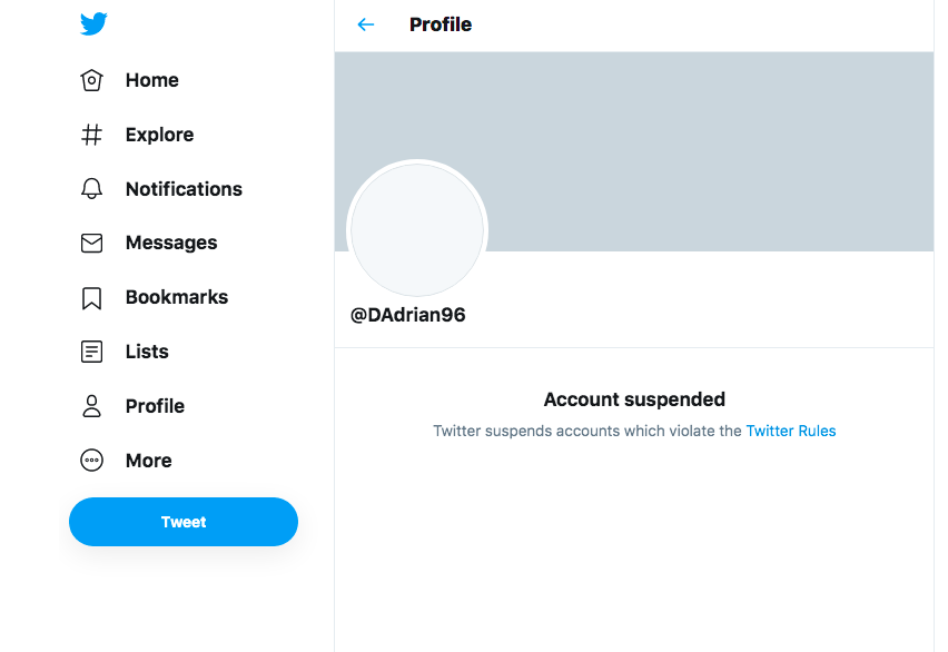 Doing a reverse image search of David Adrian's profile pic, I was able to find his newest Twitter account which was subsequently suspended by Twitter.  @DAdrian96  #infoOps  #infosec  #osint  #disinfo
