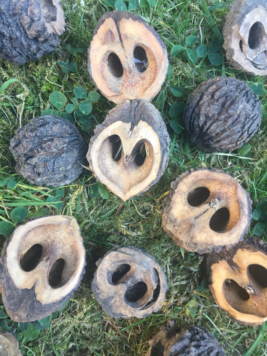 Walnut Shell Owl Pendant