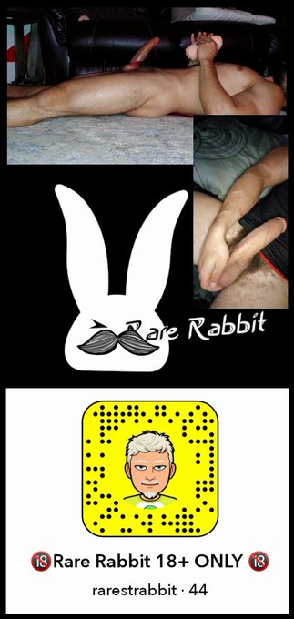 Damn did you see this? https://t.co/9tBbkpKKZy